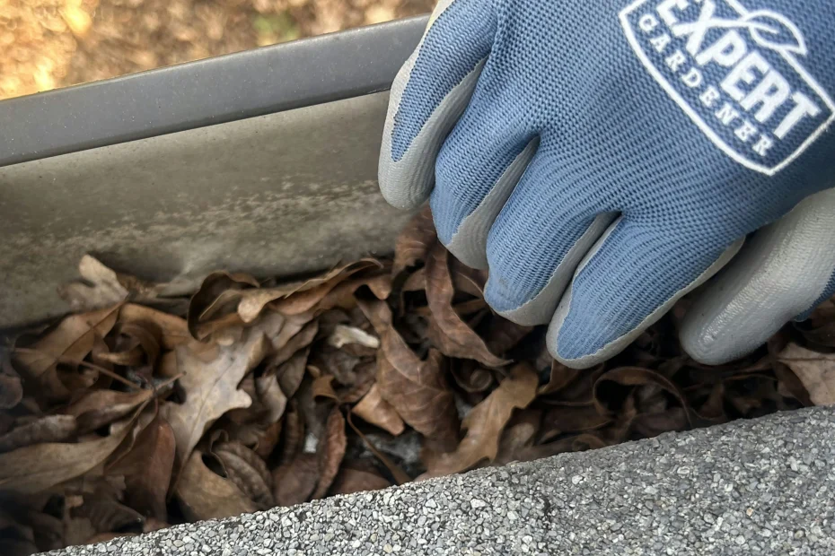 Gutter Cleaning Newport News