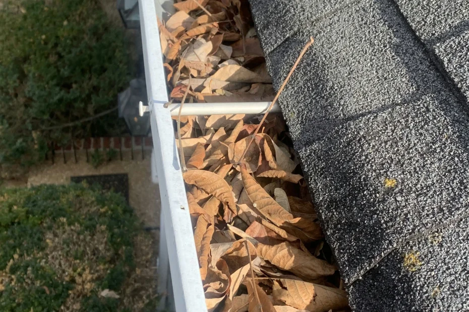 Gutter Cleaning Newport News