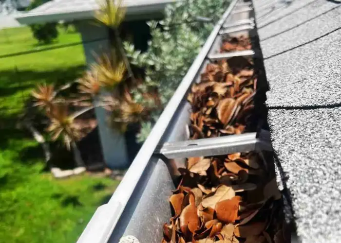 Gutter Cleaning Newport News home page